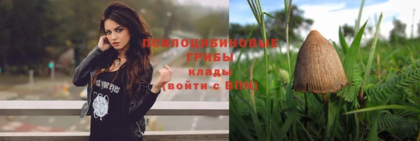спиды Баксан