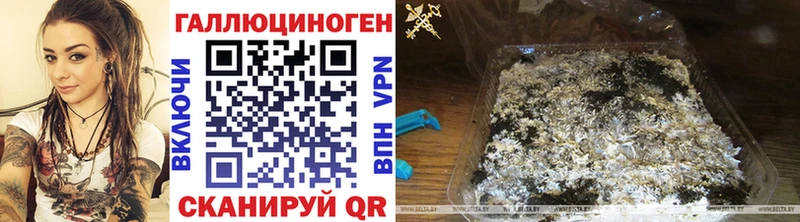 даркнет сайт  Барабинск  Псилоцибиновые грибы ЛСД 